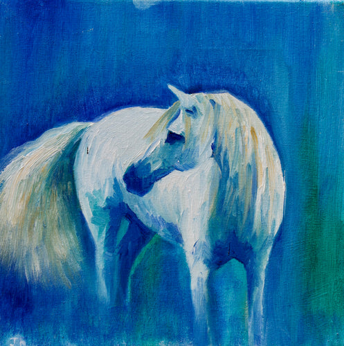 study for camargue pony