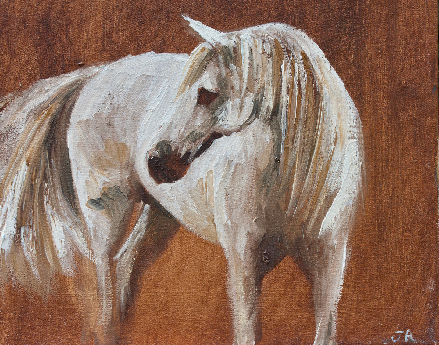 study of camargue pony on dark sienna