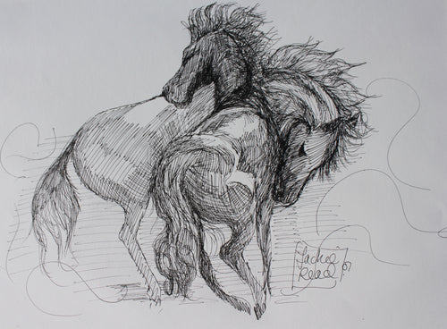 Stallions fighting original ink drawing by Jacqueline Read-Szymczyk