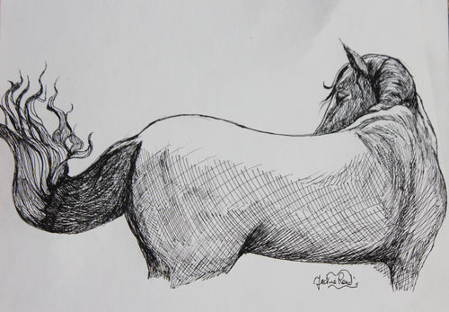 'Horse looking and twitching tail,' ink on paper, by Jacqueline Read-Szymczyk