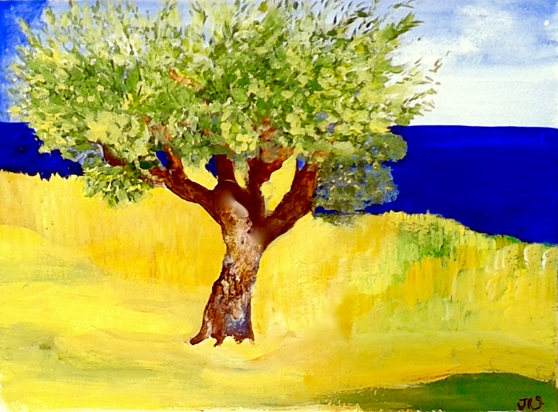 olive tree, koroni